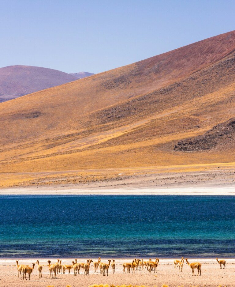 Chile, Atacama