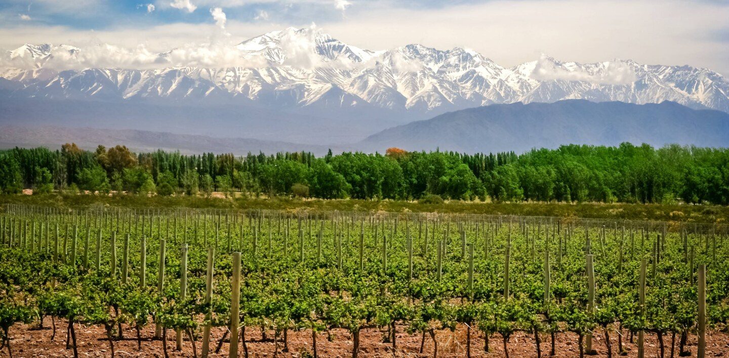 Argentina Vineyards and mountains