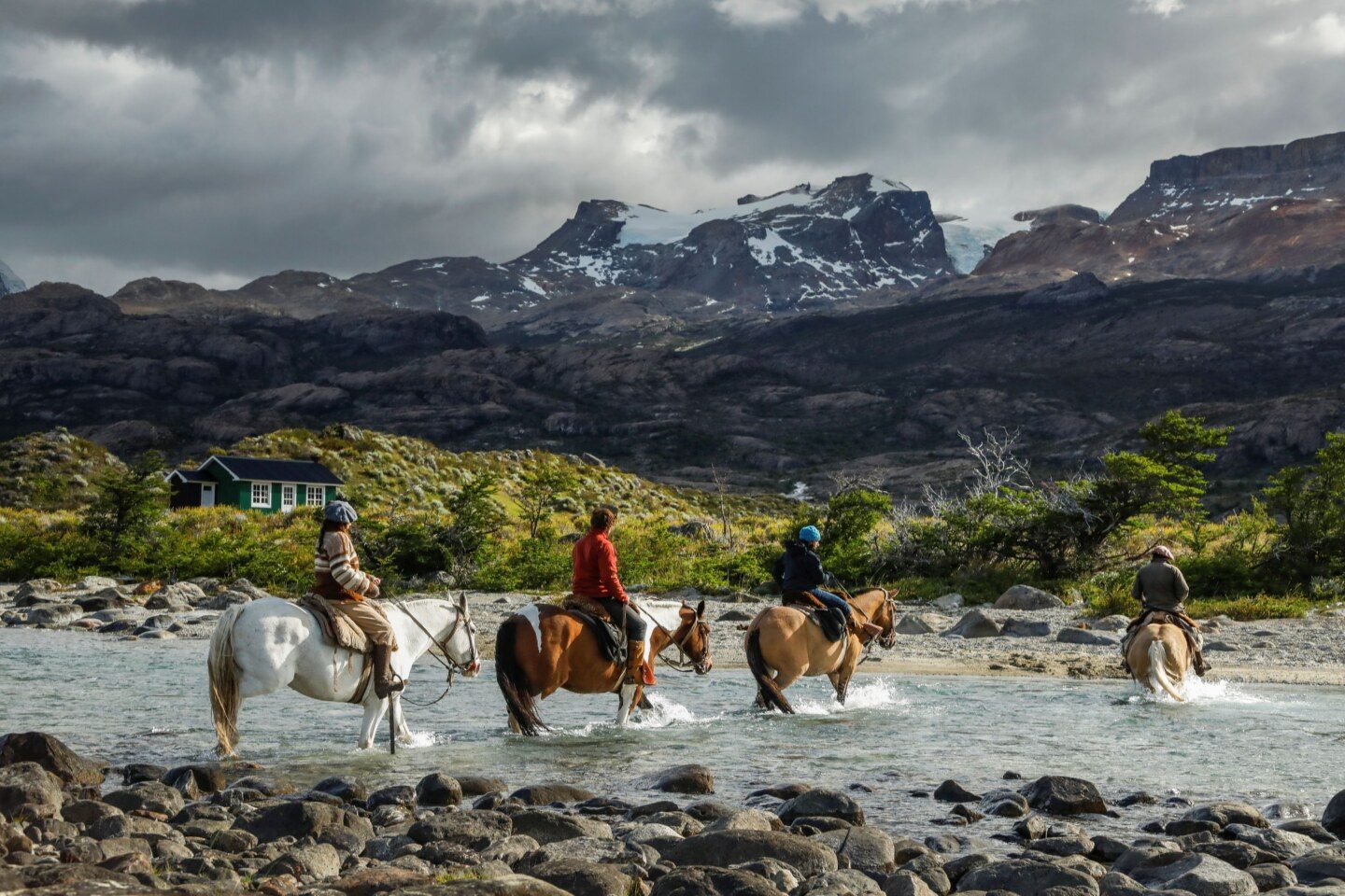 Argentina horses Patagonia