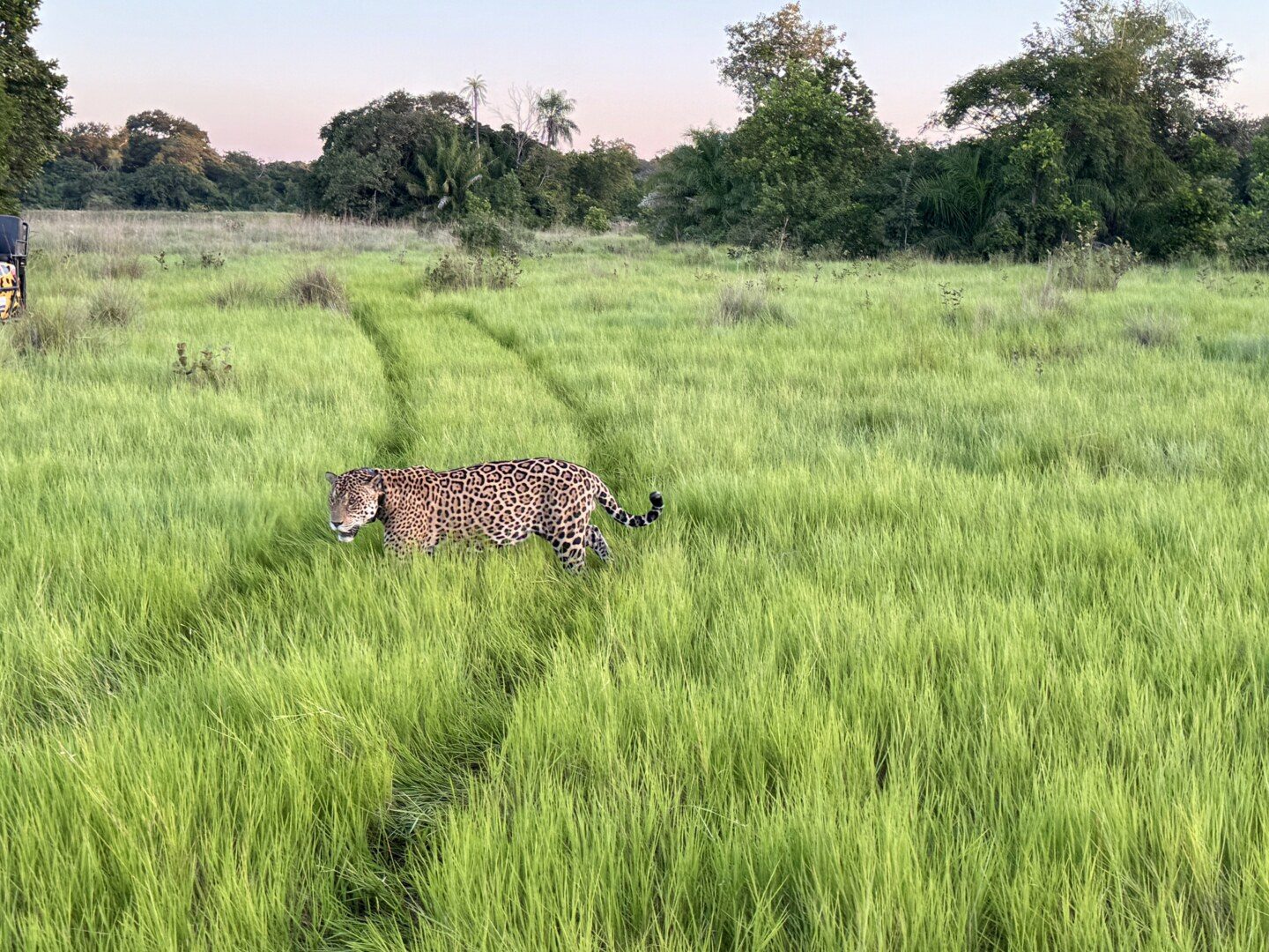 Caiman Lodge Brazil