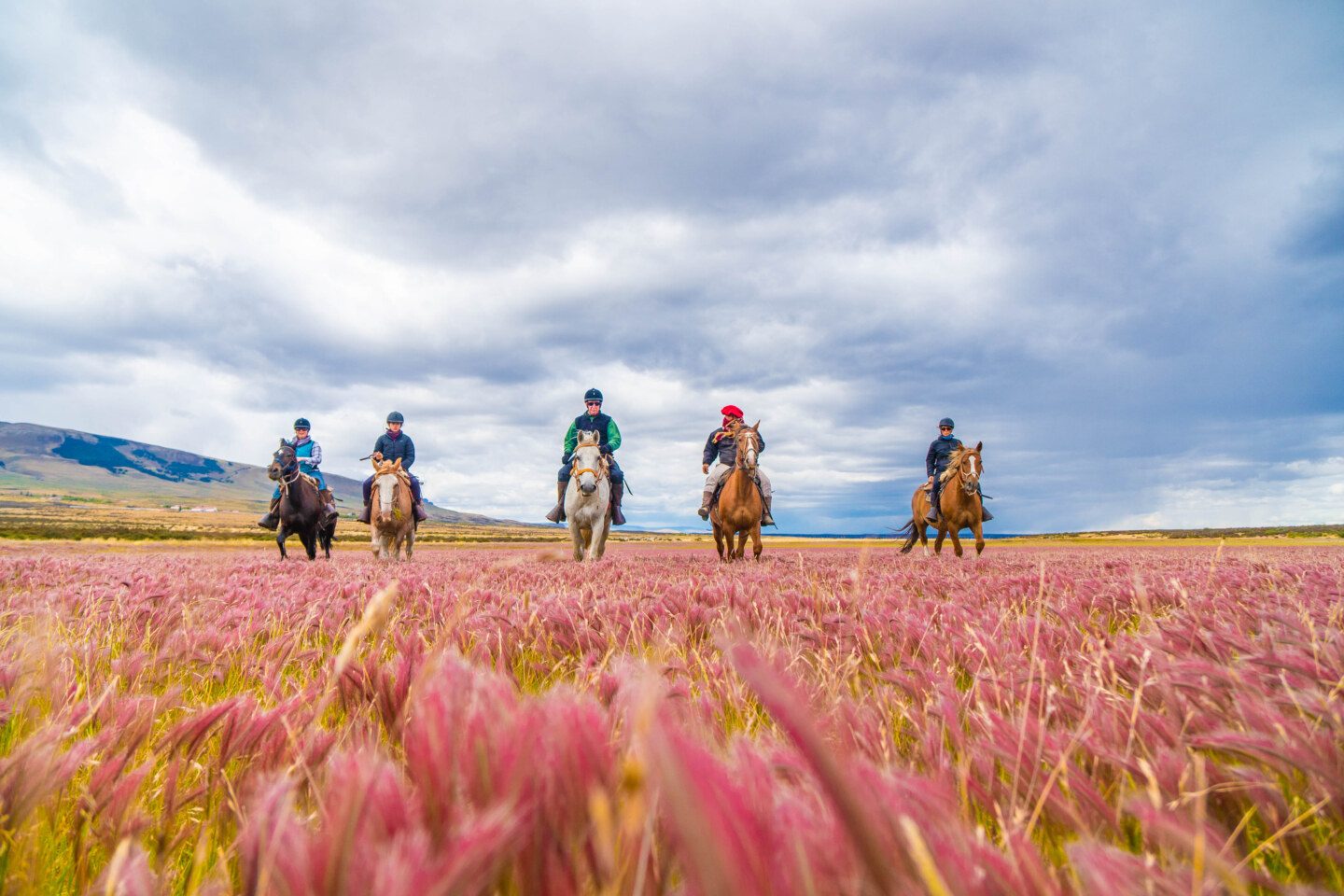 Chile-Torres del Paine-Horseback Laguna Tegualda