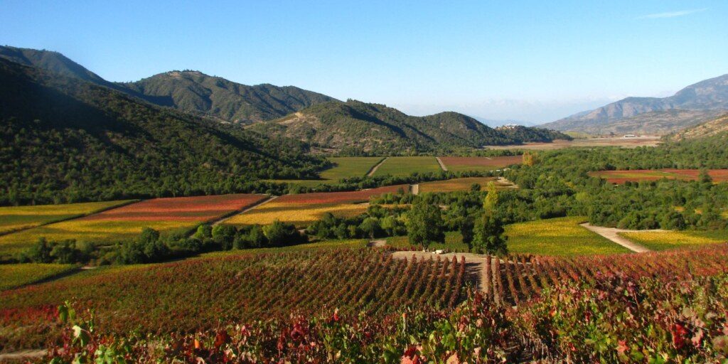 Chile - VIK - Colchagua Valley - Winery