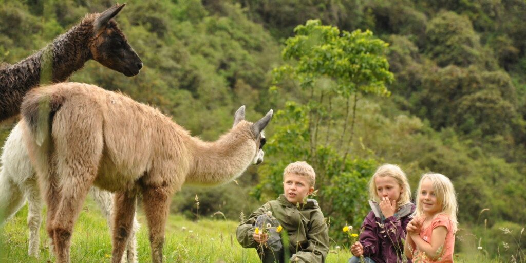 Ecuador-ZuletaCK-Children_llamas