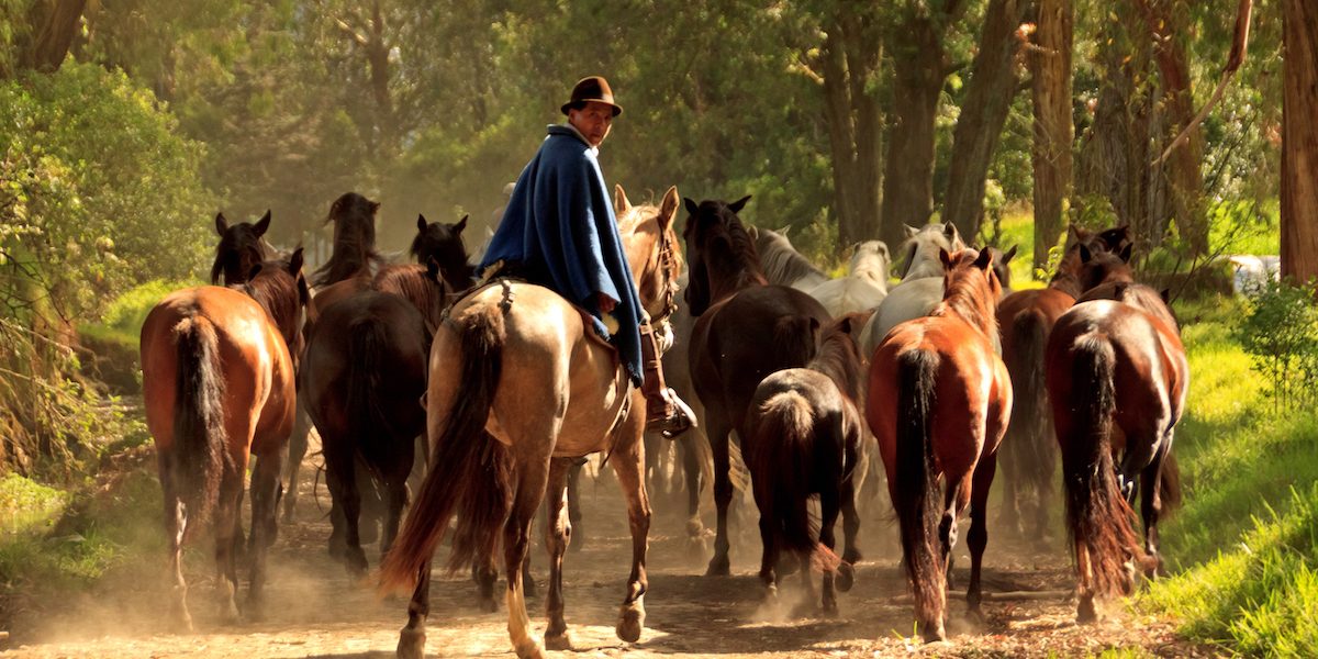 Ecuador-ZuletaCK-Horseback Riding.jpg