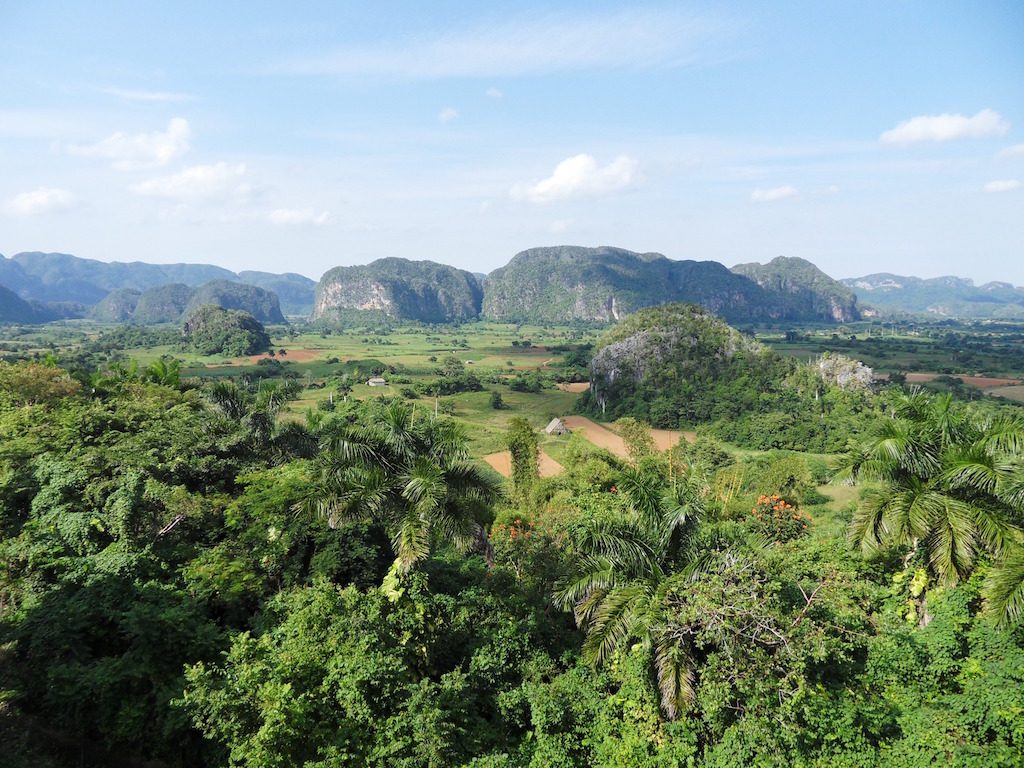 Vinales