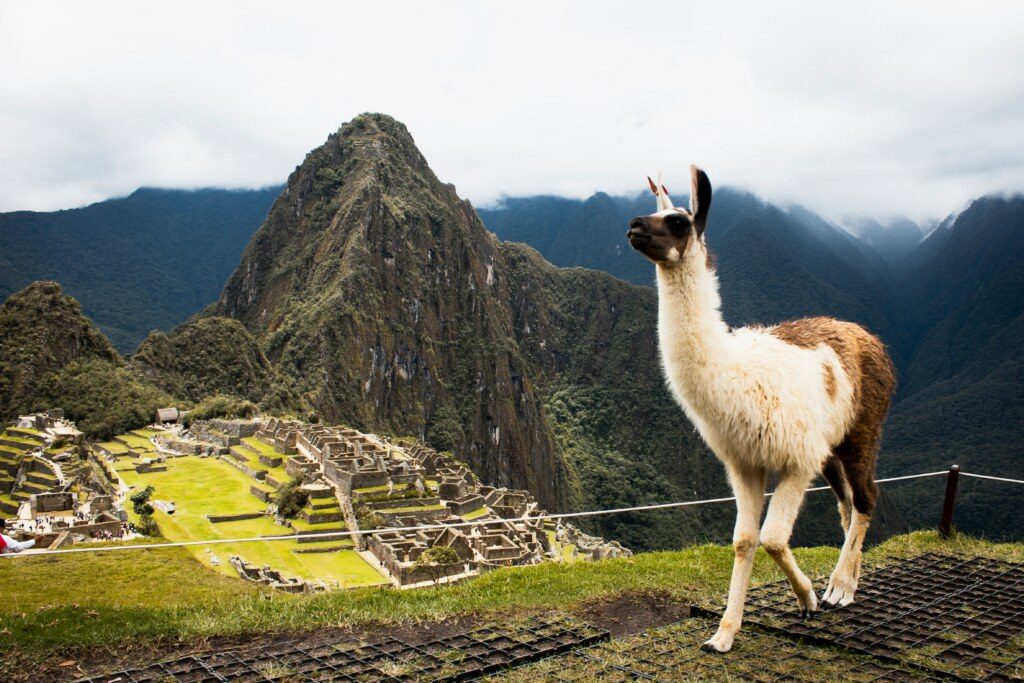 Machu Picchu Peru