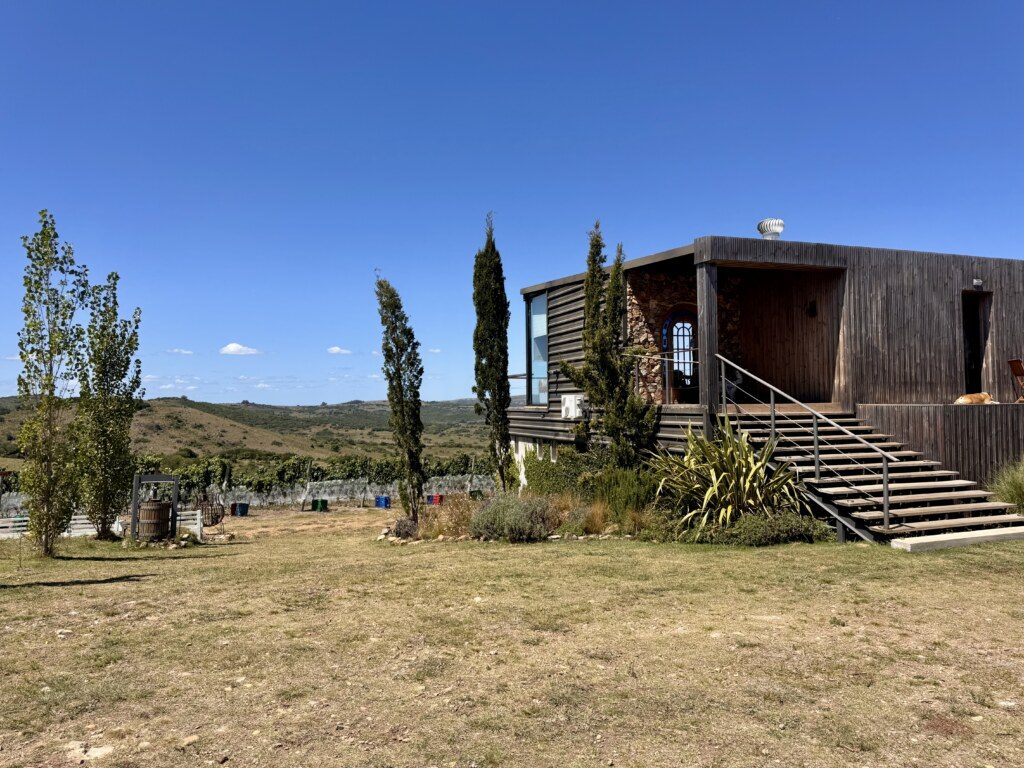 Cofradia de la Sierra Jose Ignacio 1