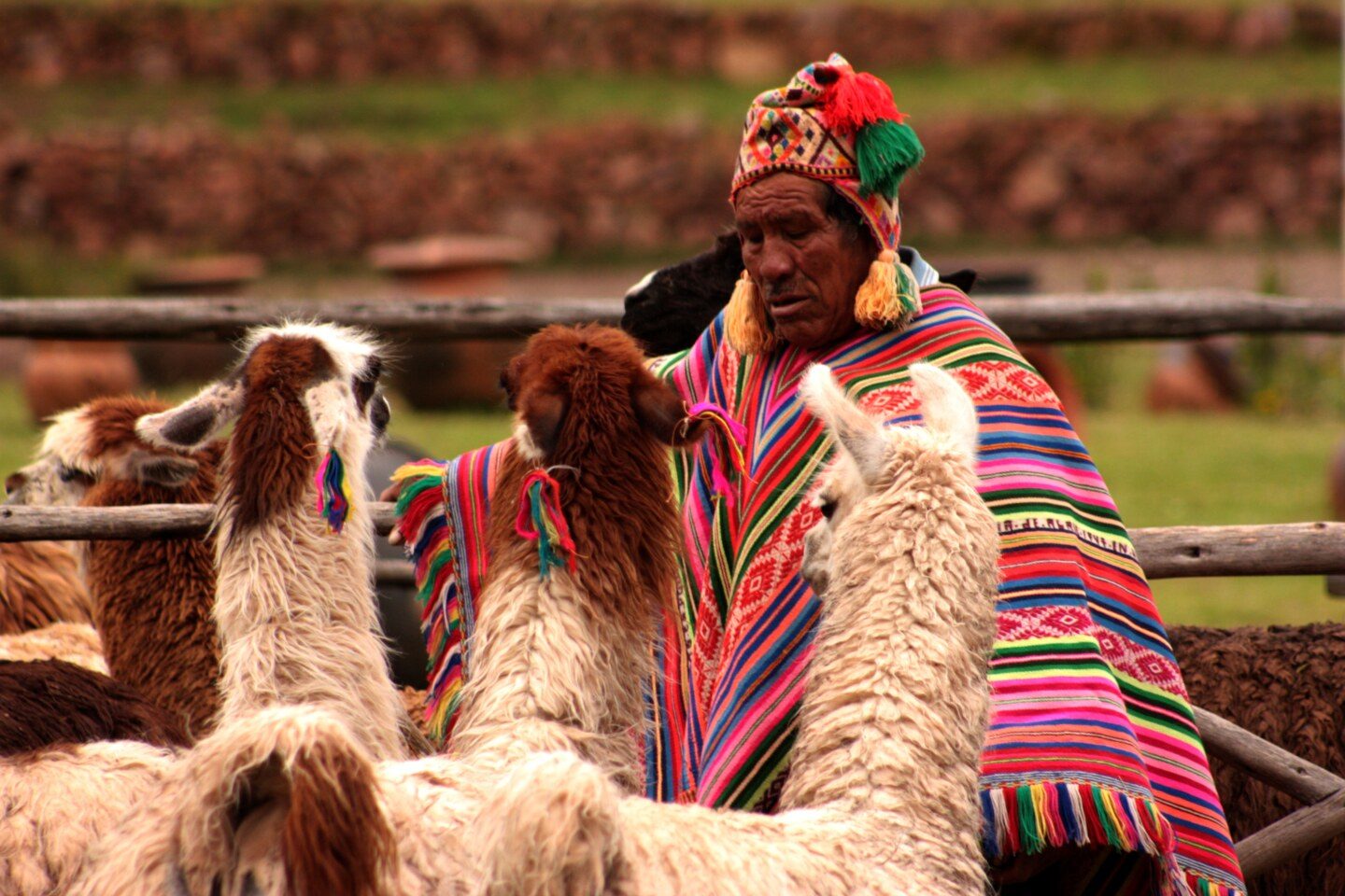 peru-854175 copy